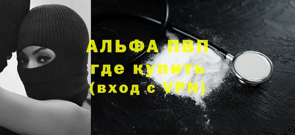 хмурый Абаза