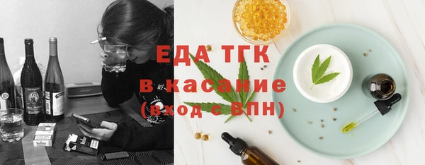 хмурый Абаза