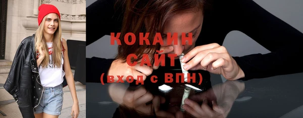 хмурый Абаза