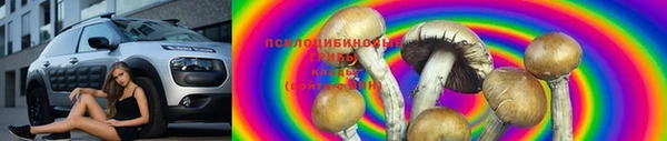 СК Абдулино